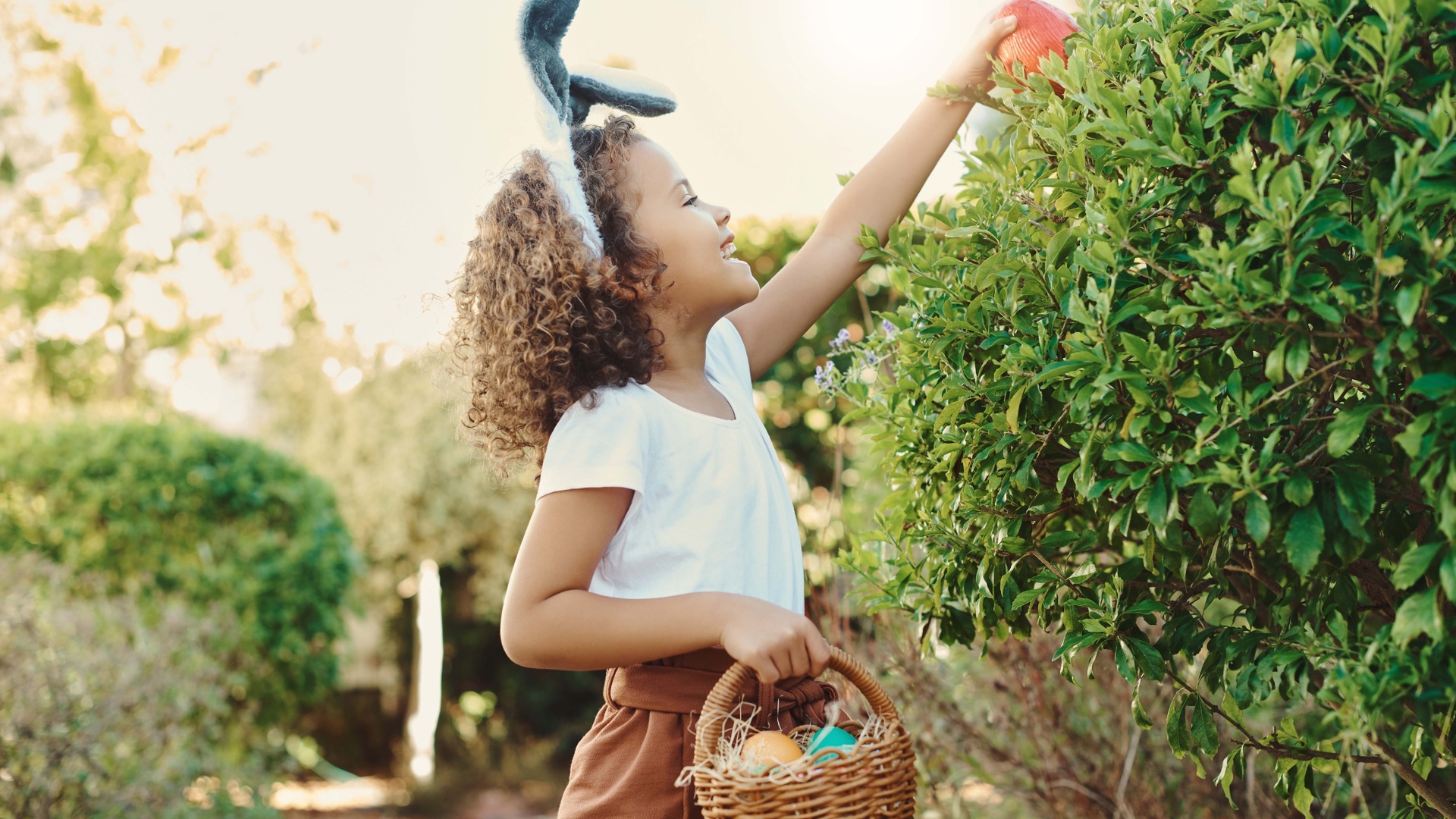 easter egg hunt, easter, chocolate eggs