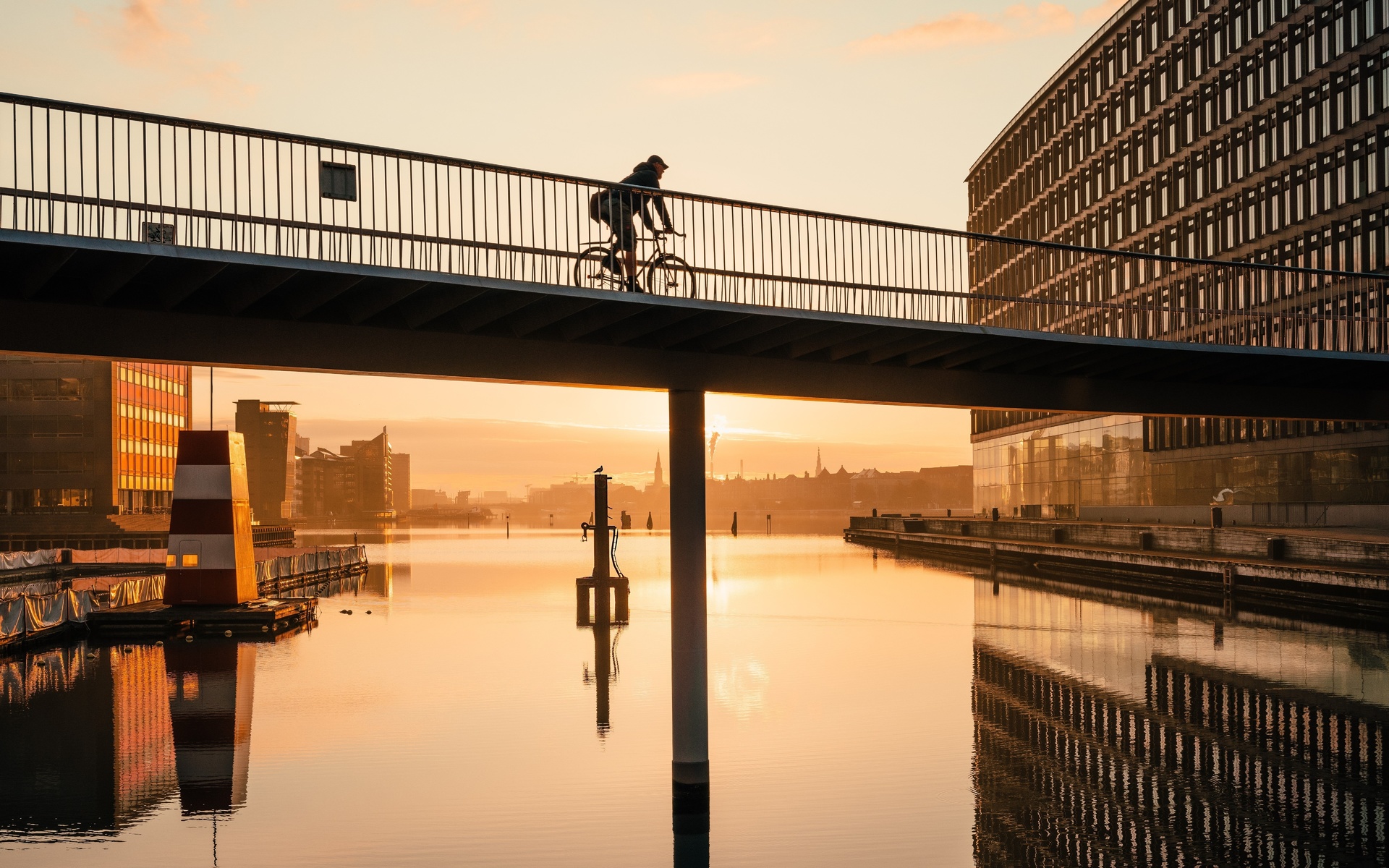 bicycle, copenhagen, denmark