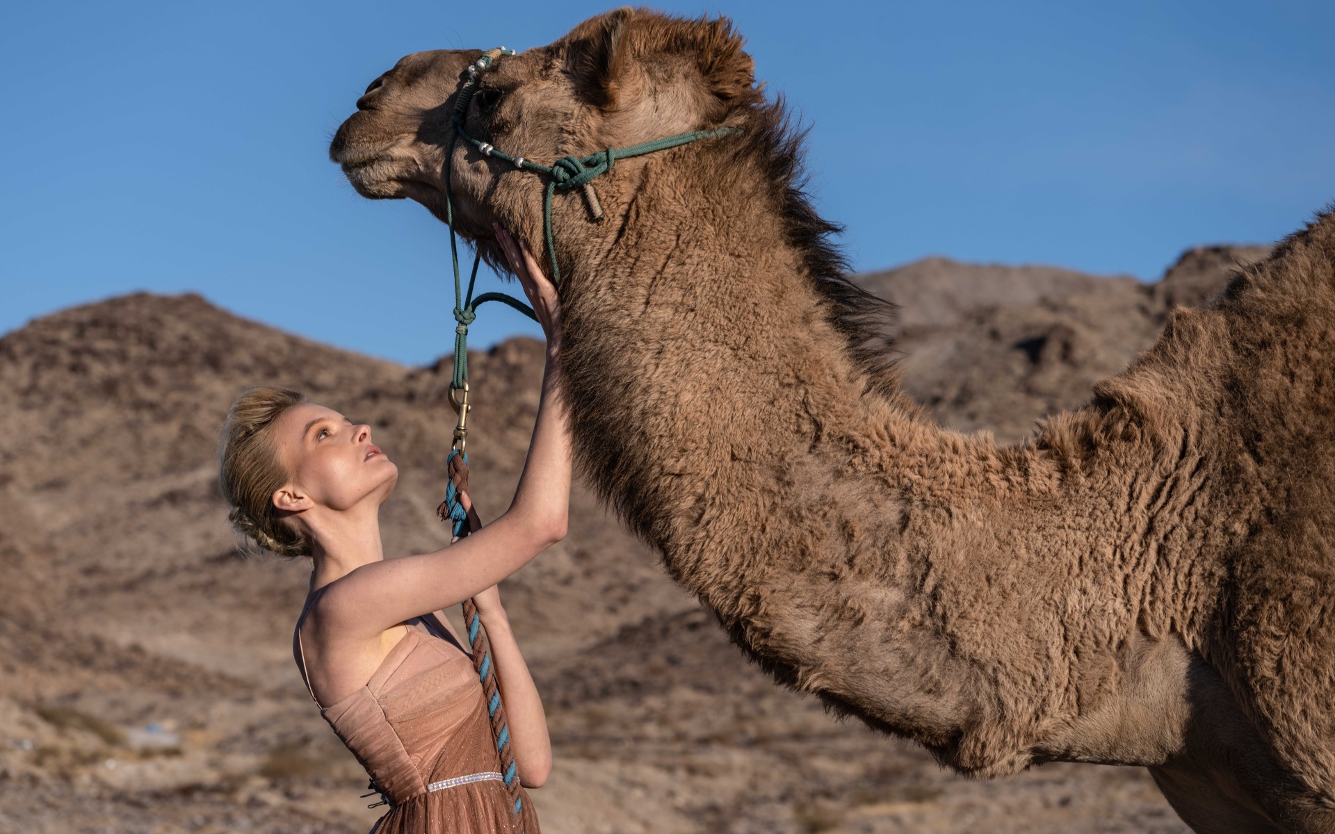 northern mojave, nevada, desert fashion circus