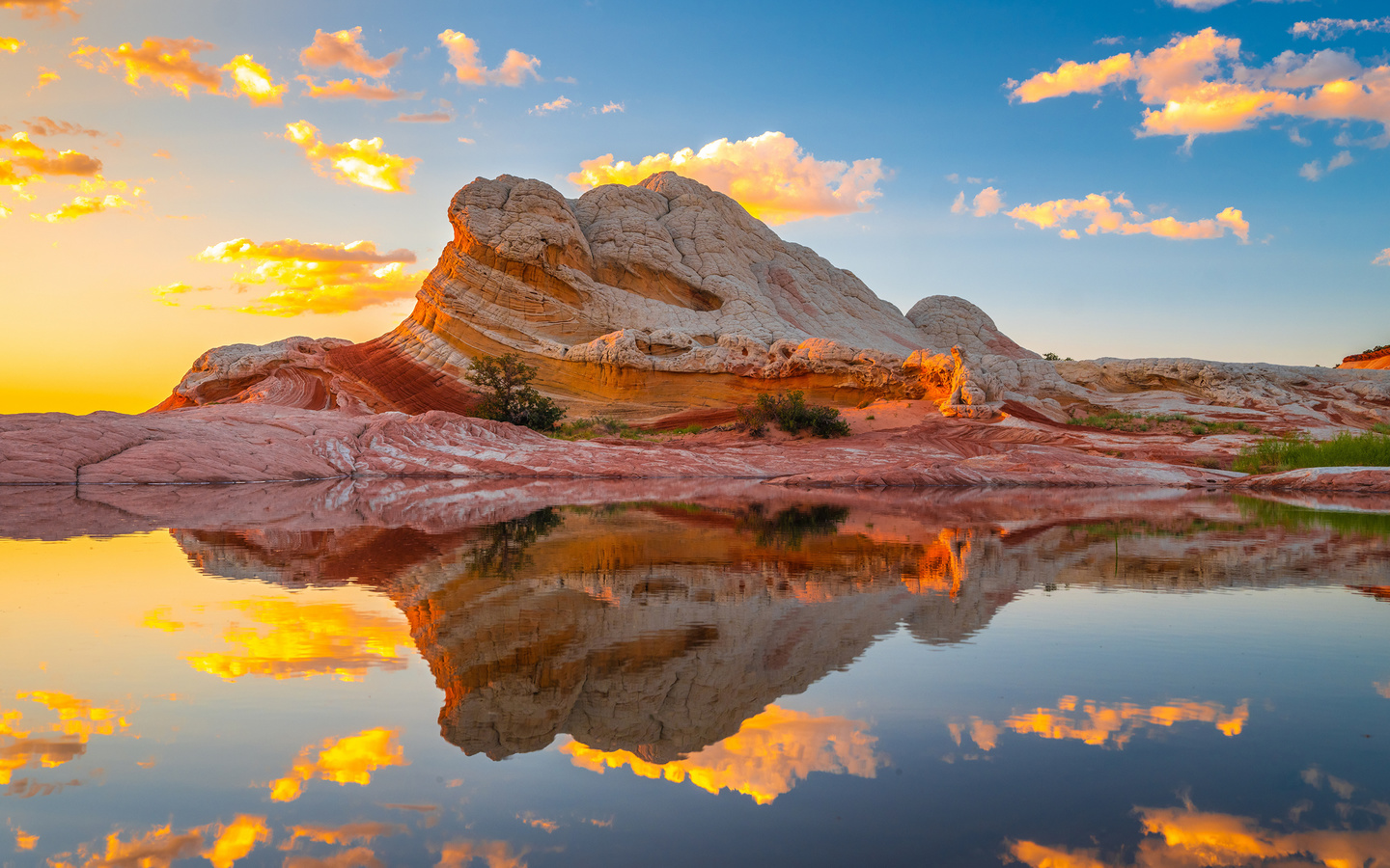  , white pocket, arizona, , , ,  , , , , , , , , , 