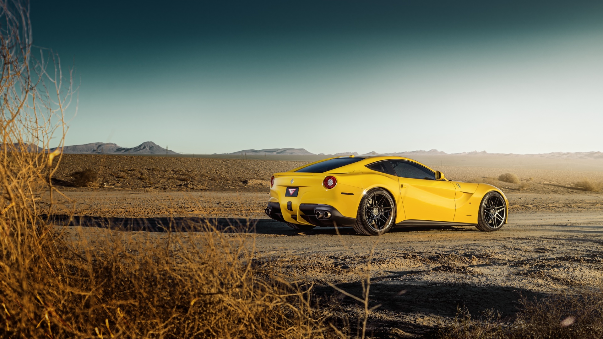 ferrari, f12