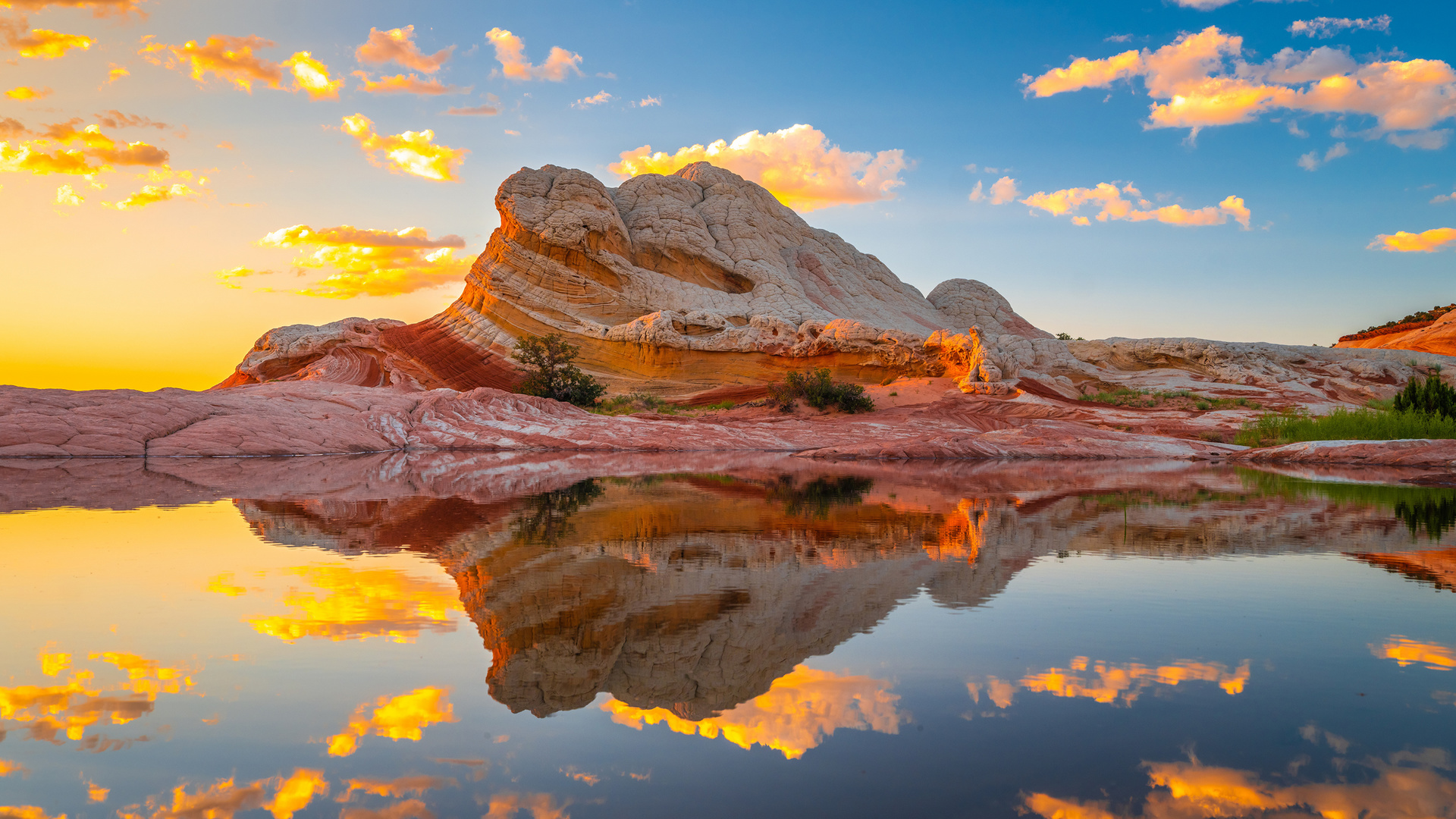  , white pocket, arizona, , , ,  , , , , , , , , , 