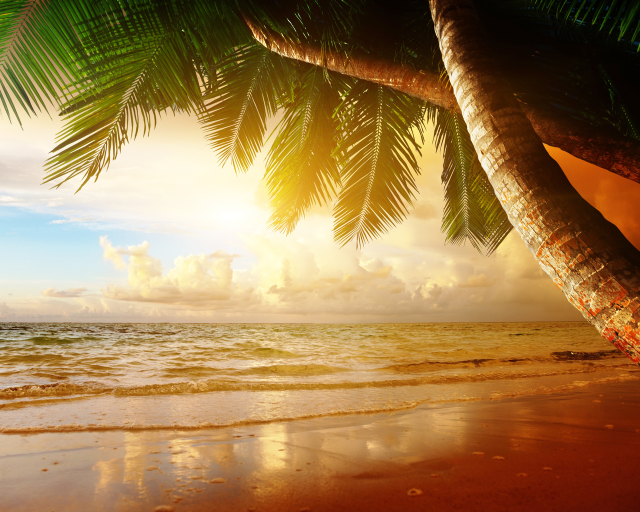 sand, sea, beach, summer, sun, tropics, palm trees, ocean, shore, island