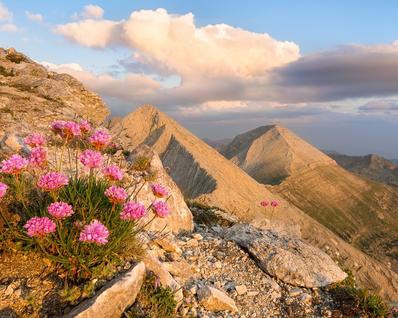 , , , , , , , sky, landscape, nature, flowers, mountains, clouds, rocks, , bulgaria, pirin, 