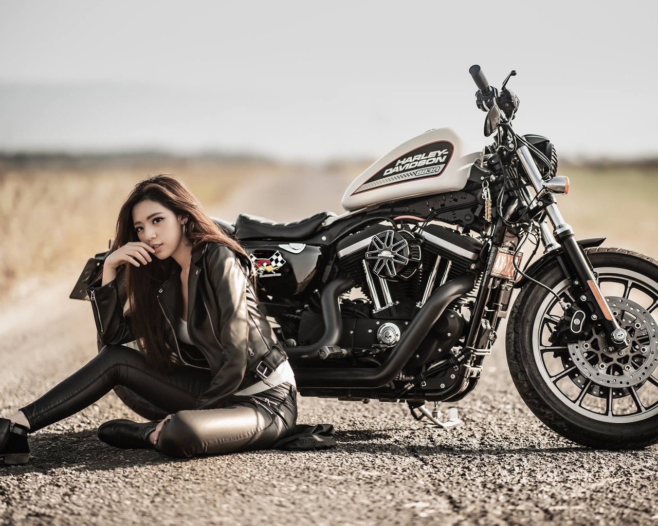 harley davidson, , , 