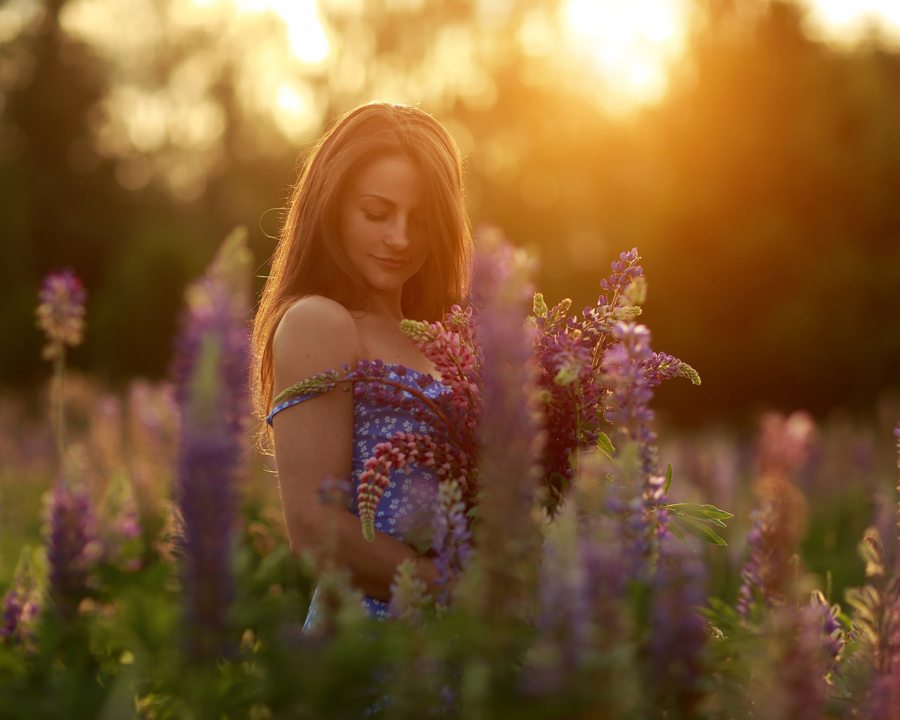 women, model, brunette, women outdoors, nature, field, summer dress, plants, flowers, trees, blue dress