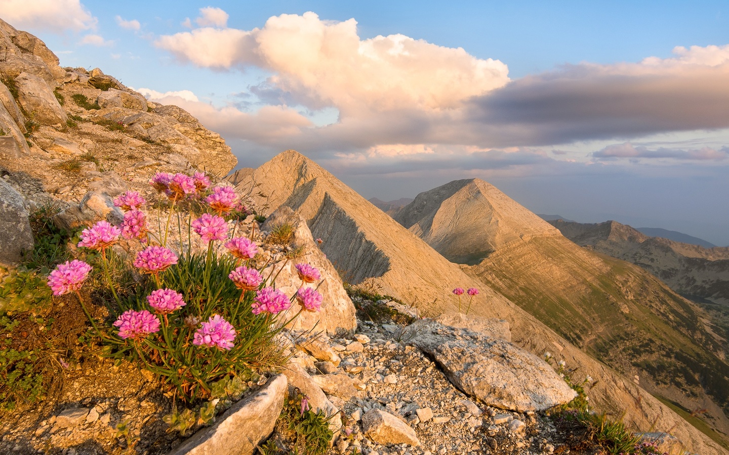 , , , , , , , sky, landscape, nature, flowers, mountains, clouds, rocks, , bulgaria, pirin, 