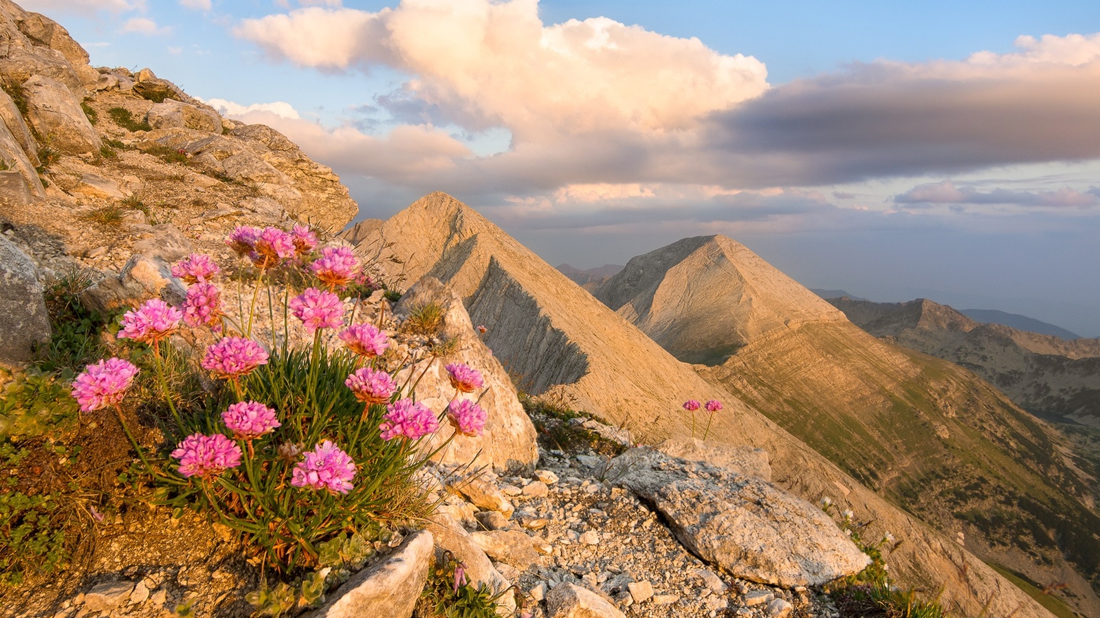 , , , , , , , sky, landscape, nature, flowers, mountains, clouds, rocks, , bulgaria, pirin, 