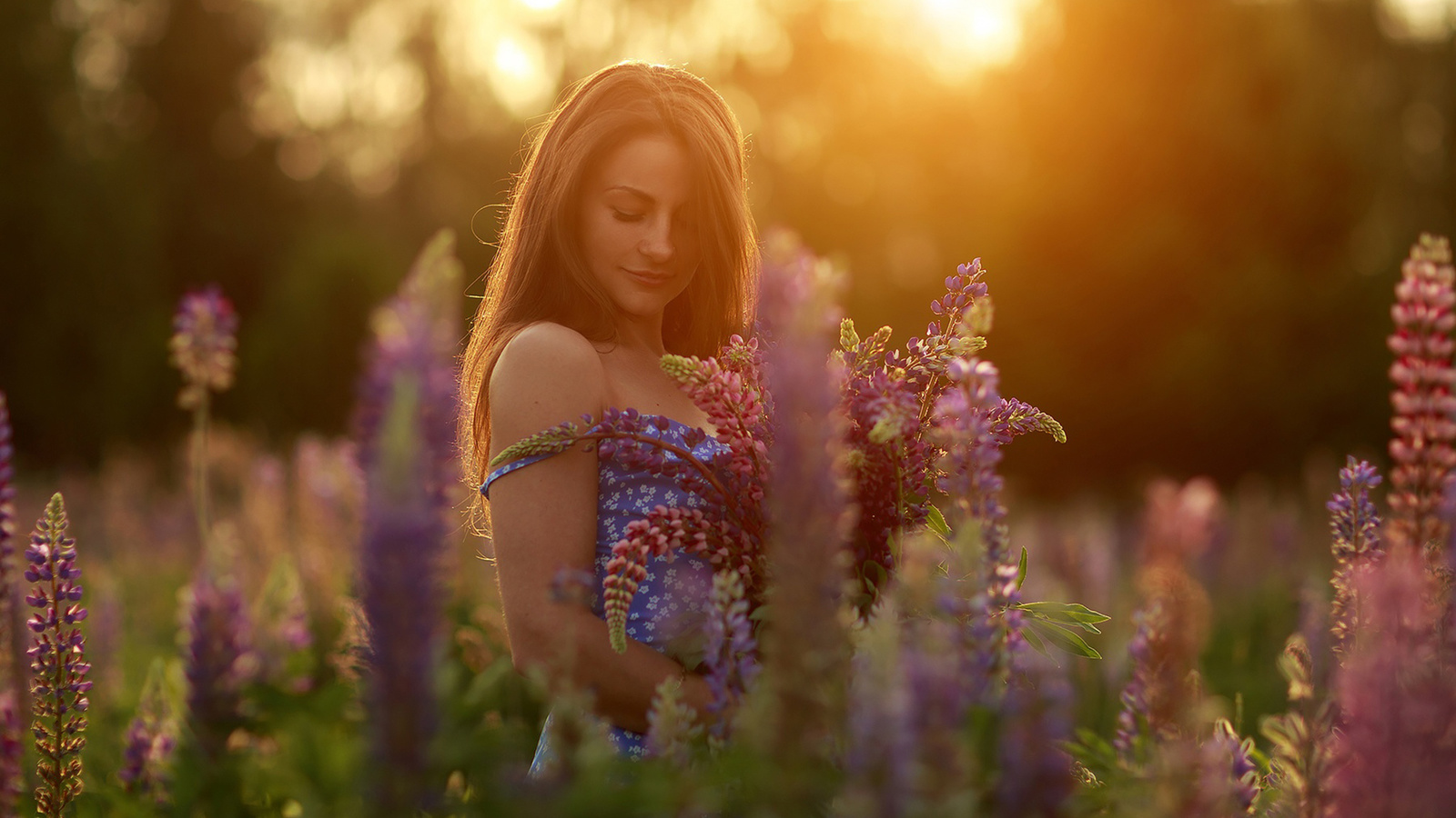 women, model, brunette, women outdoors, nature, field, summer dress, plants, flowers, trees, blue dress