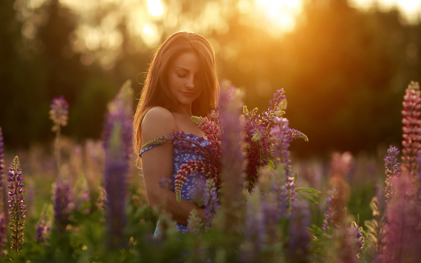 women, model, brunette, women outdoors, nature, field, summer dress, plants, flowers, trees, blue dress