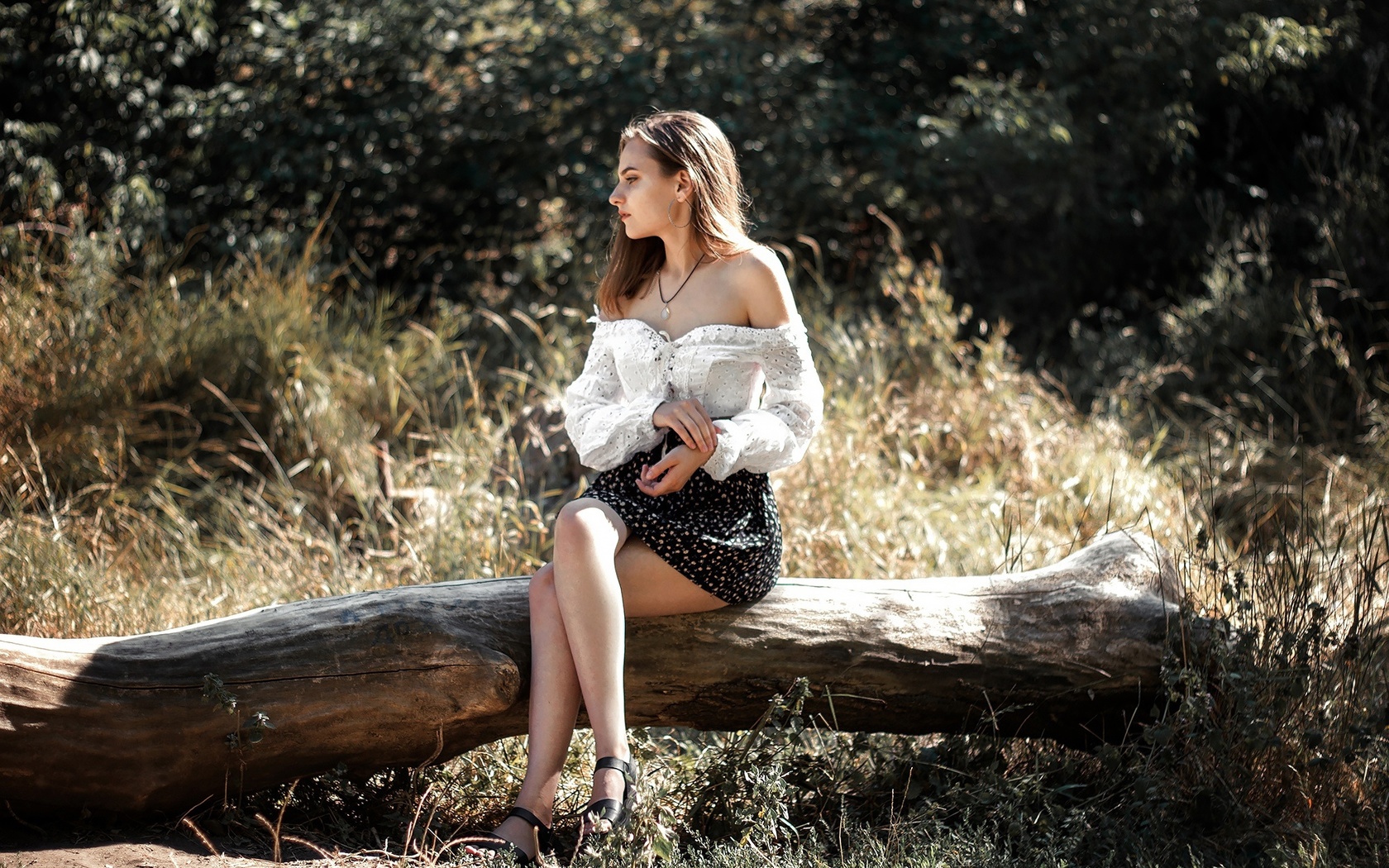 women, brunette, model, women outdoors, nature, blouse, white blouse, skirt, grass, trees, sitting, bare shoulders, hips