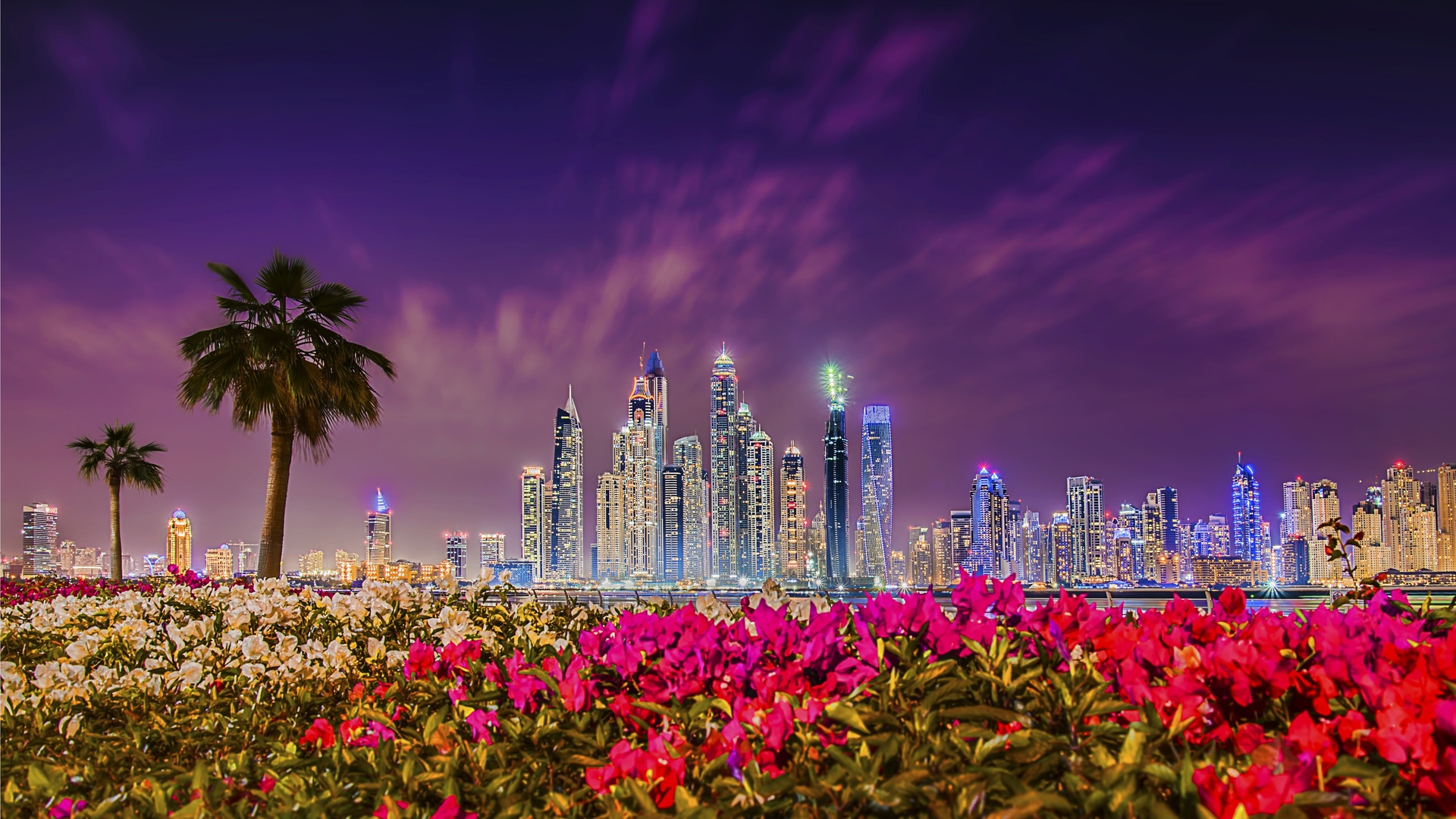 city, sunset, uae, dubai, rhododendron, night city, buildings, flowers, bushes