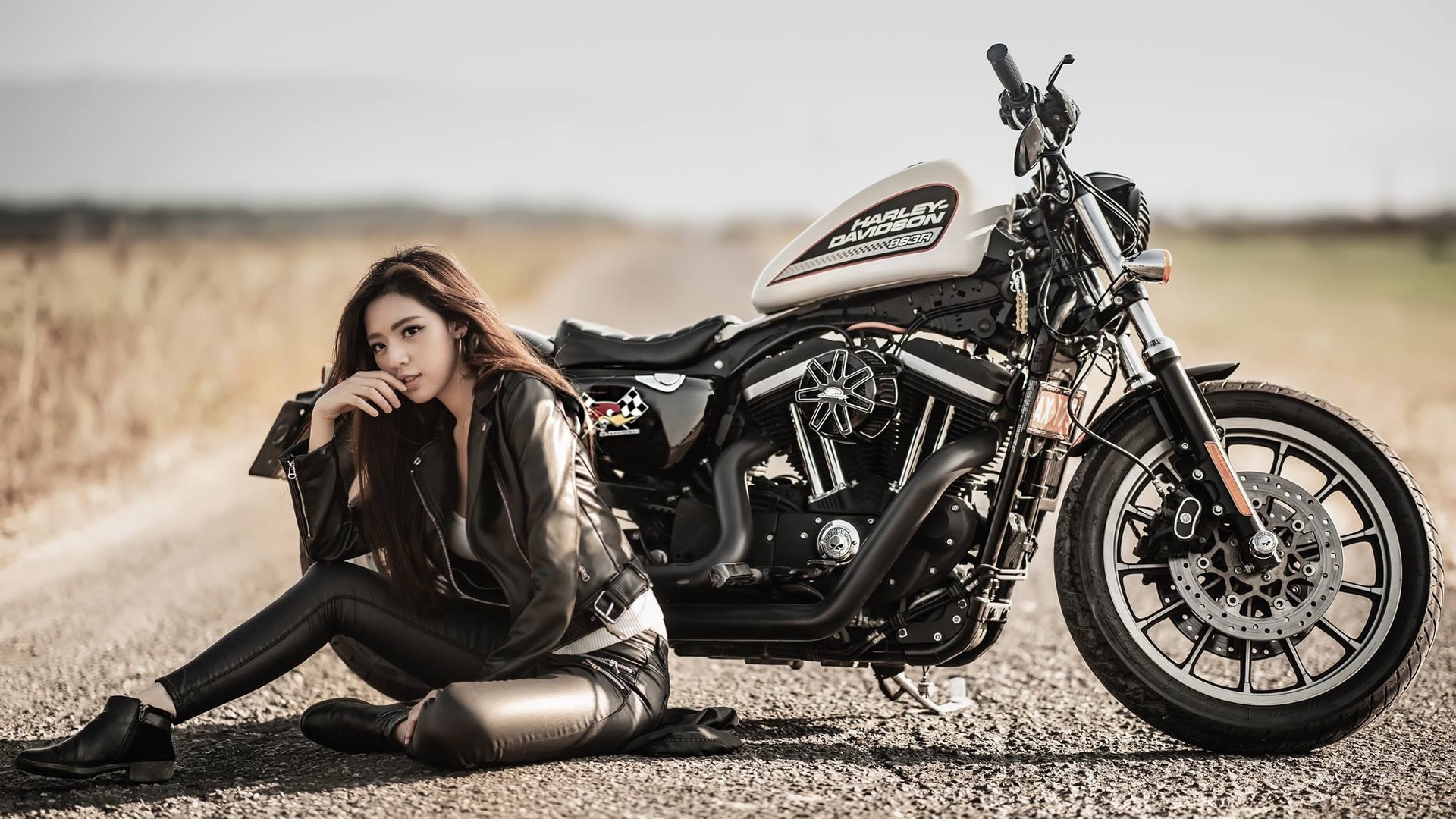 harley davidson, , , 