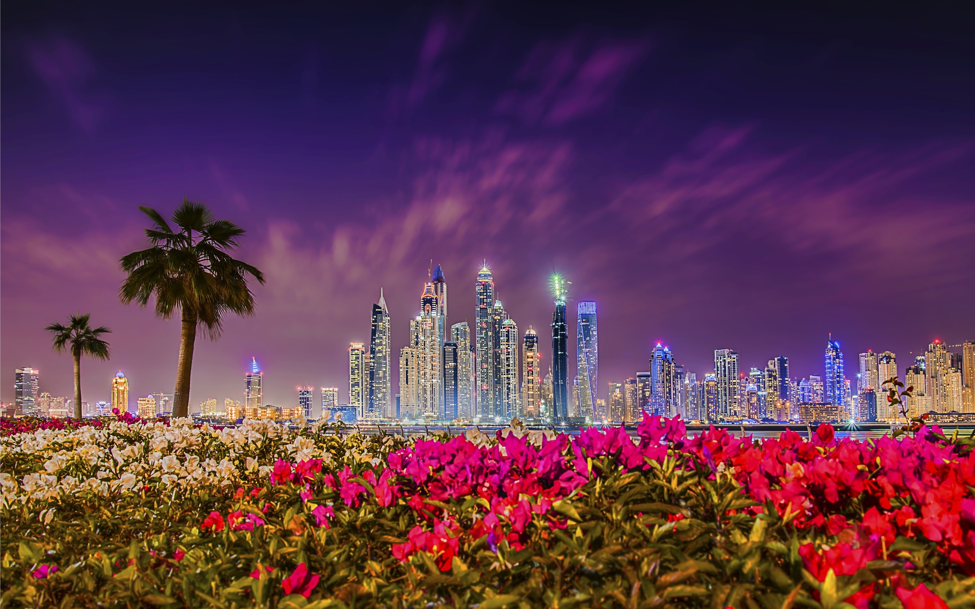 city, sunset, uae, dubai, rhododendron, night city, buildings, flowers, bushes