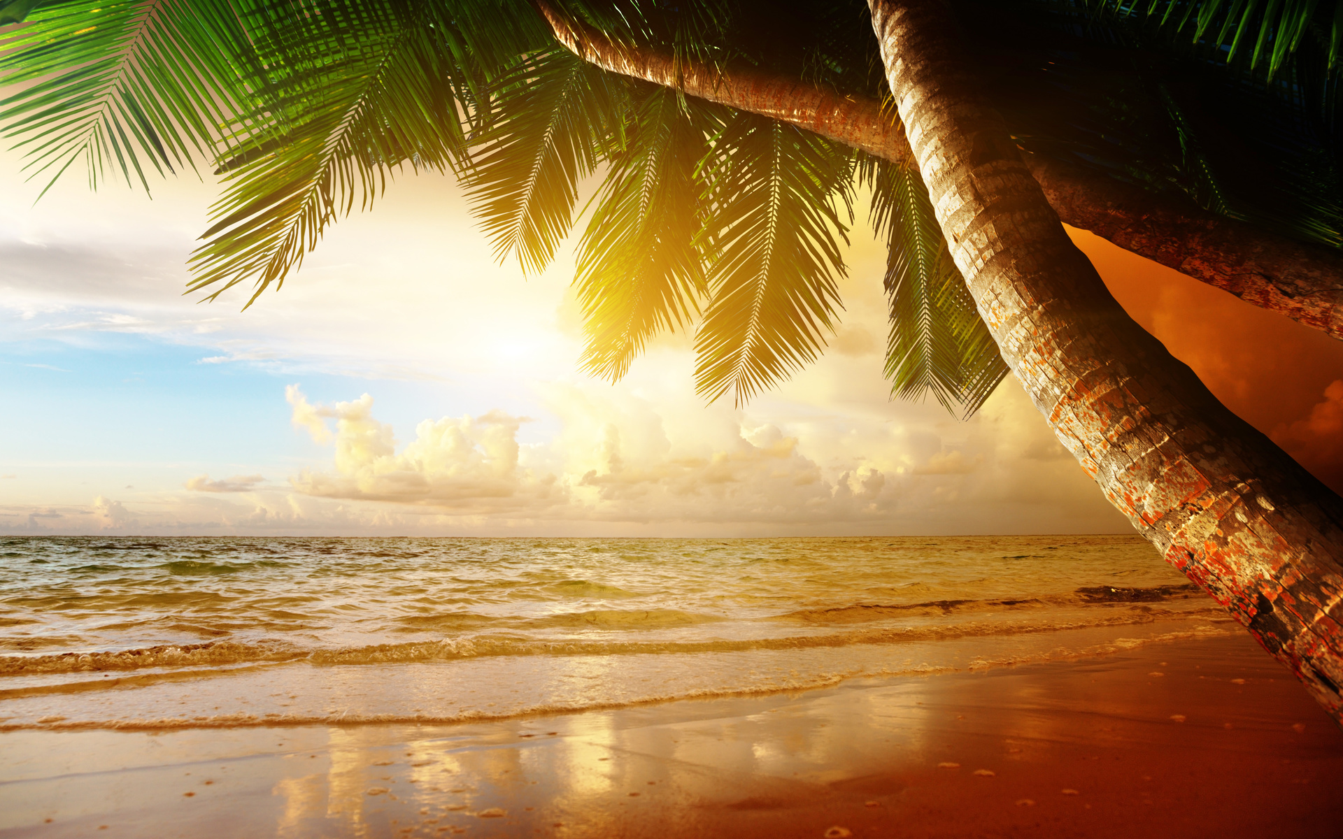 sand, sea, beach, summer, sun, tropics, palm trees, ocean, shore, island