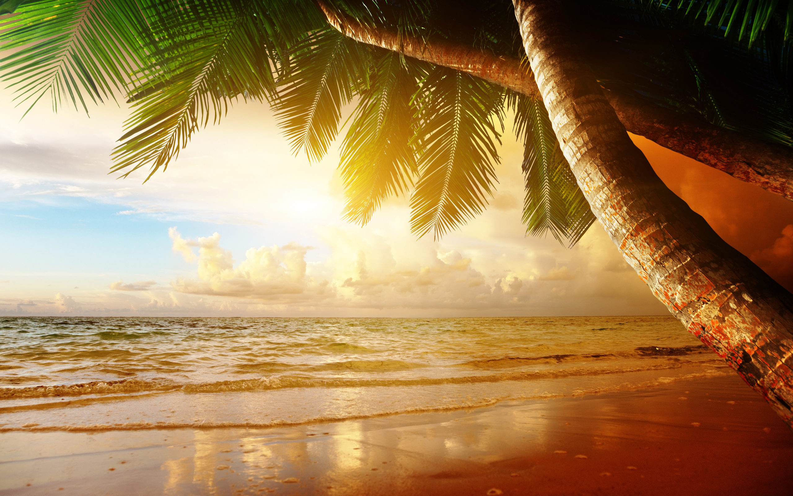 sand, sea, beach, summer, sun, tropics, palm trees, ocean, shore, island