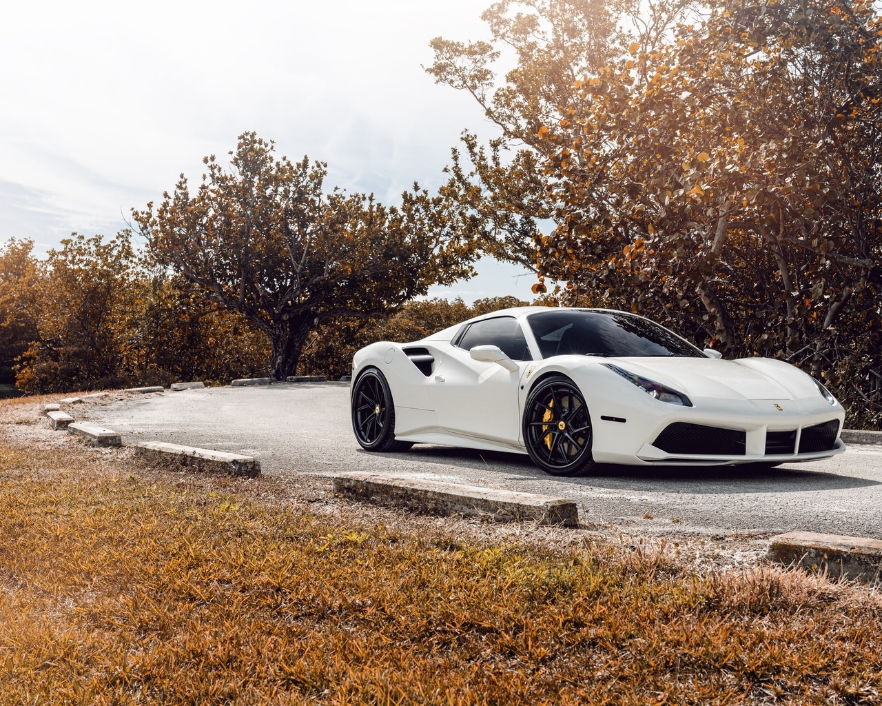 ferrari, 488