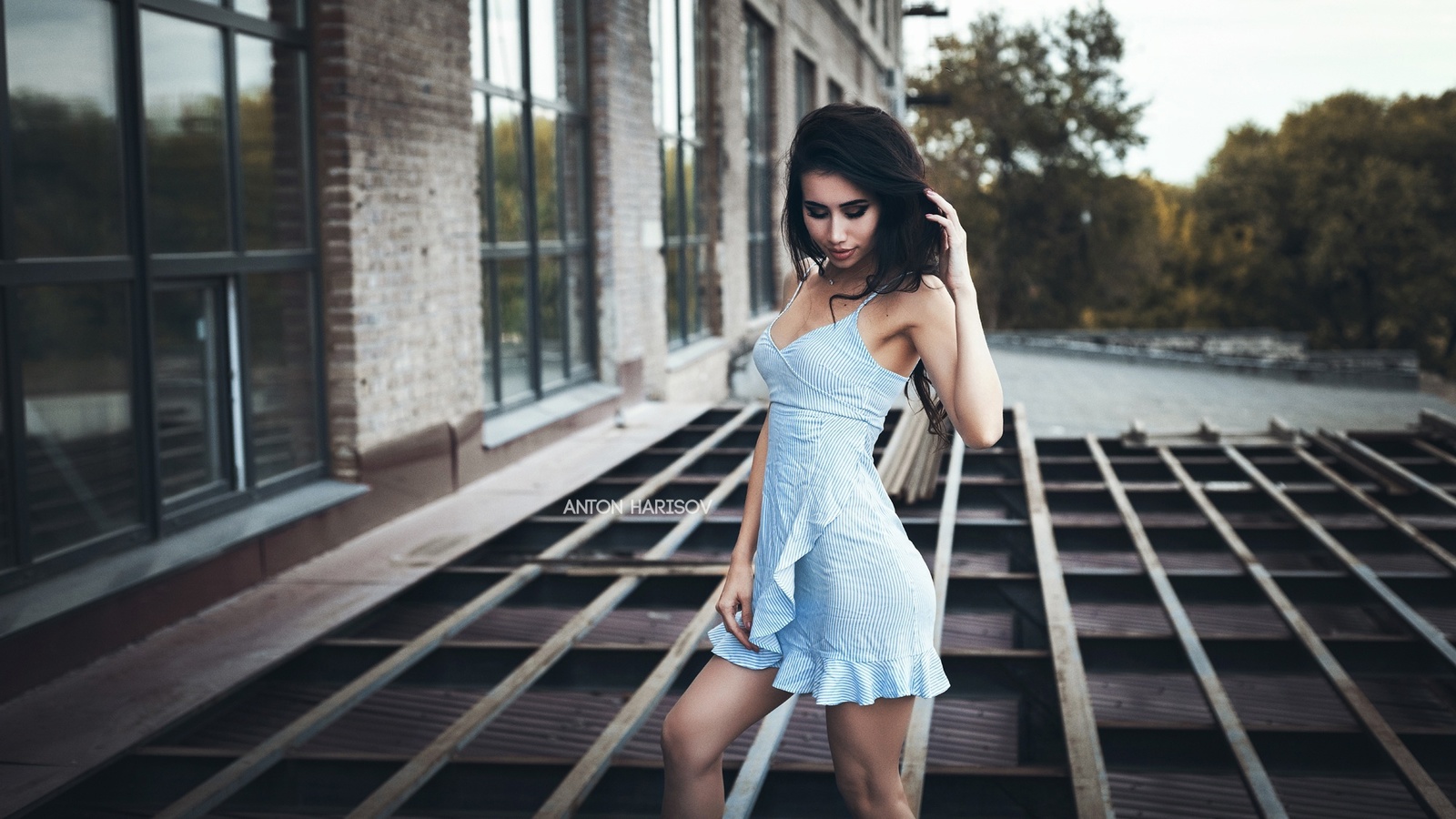 anton harisov,  , brunette, women, model, striped dress, blue dress, trees, women outdoors, sky, makeup