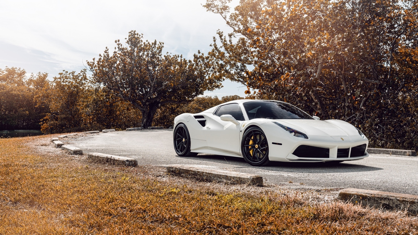 ferrari, 488