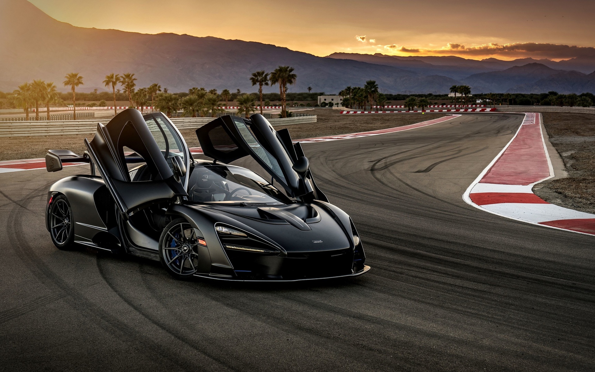 mclaren senna, 