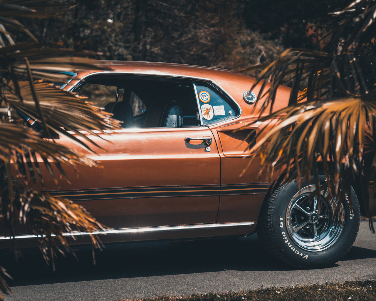 ford, mustang, 1969