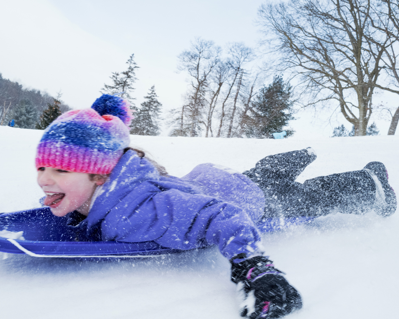 winter, sledding, snowy terrain