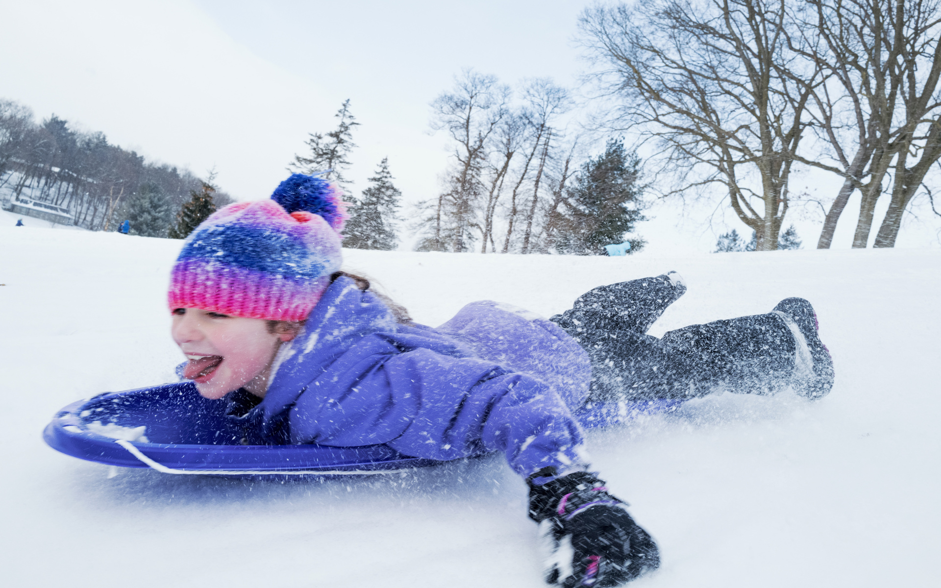 winter, sledding, snowy terrain