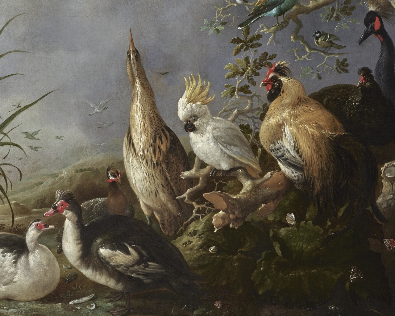 melchior dhondecoeter, dutch art, a menagerie of exotic birds in a landscape