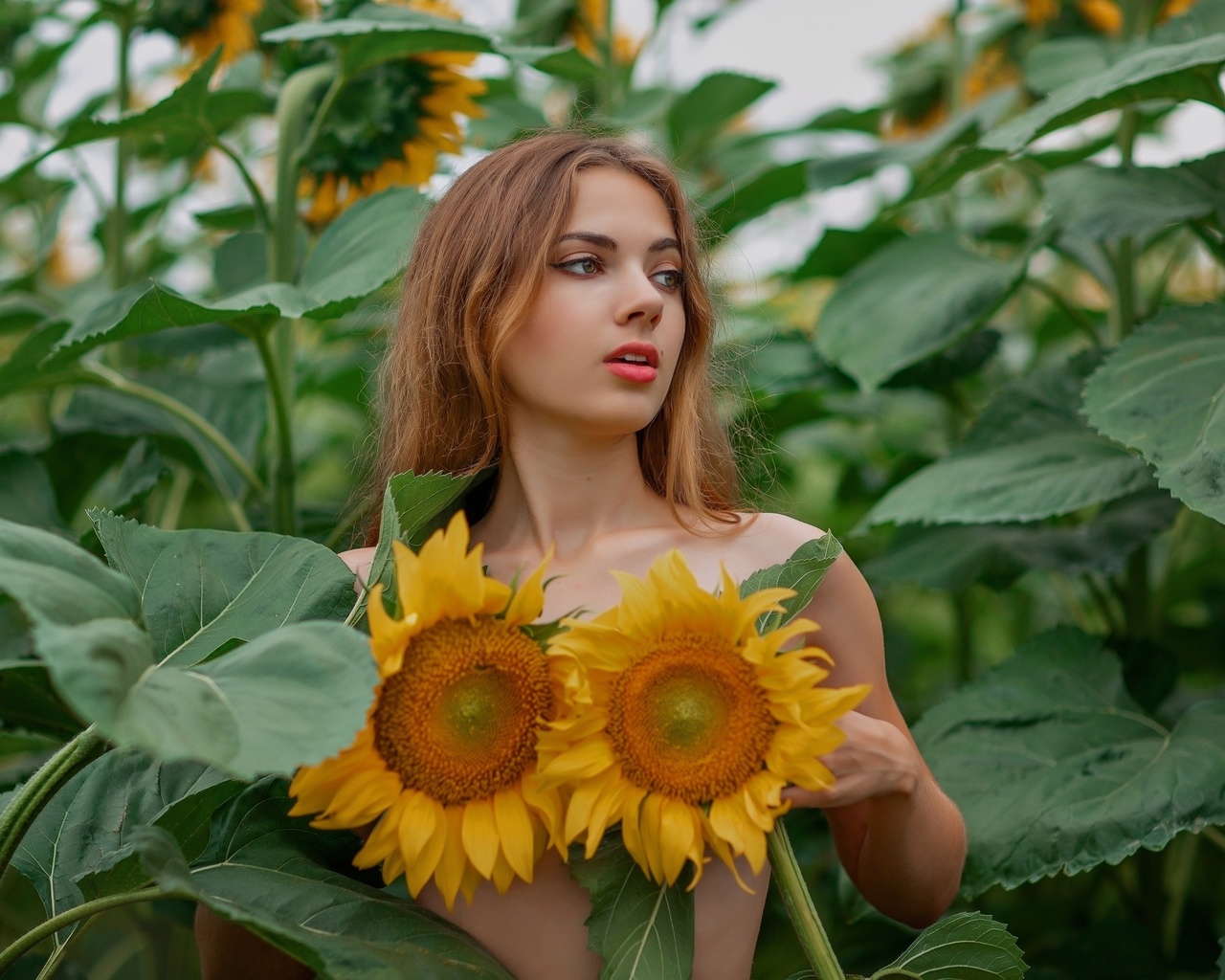 , oxana gromova, model, outdoors, brunette, sunflowers, no bra, plants, red lipstick, nature