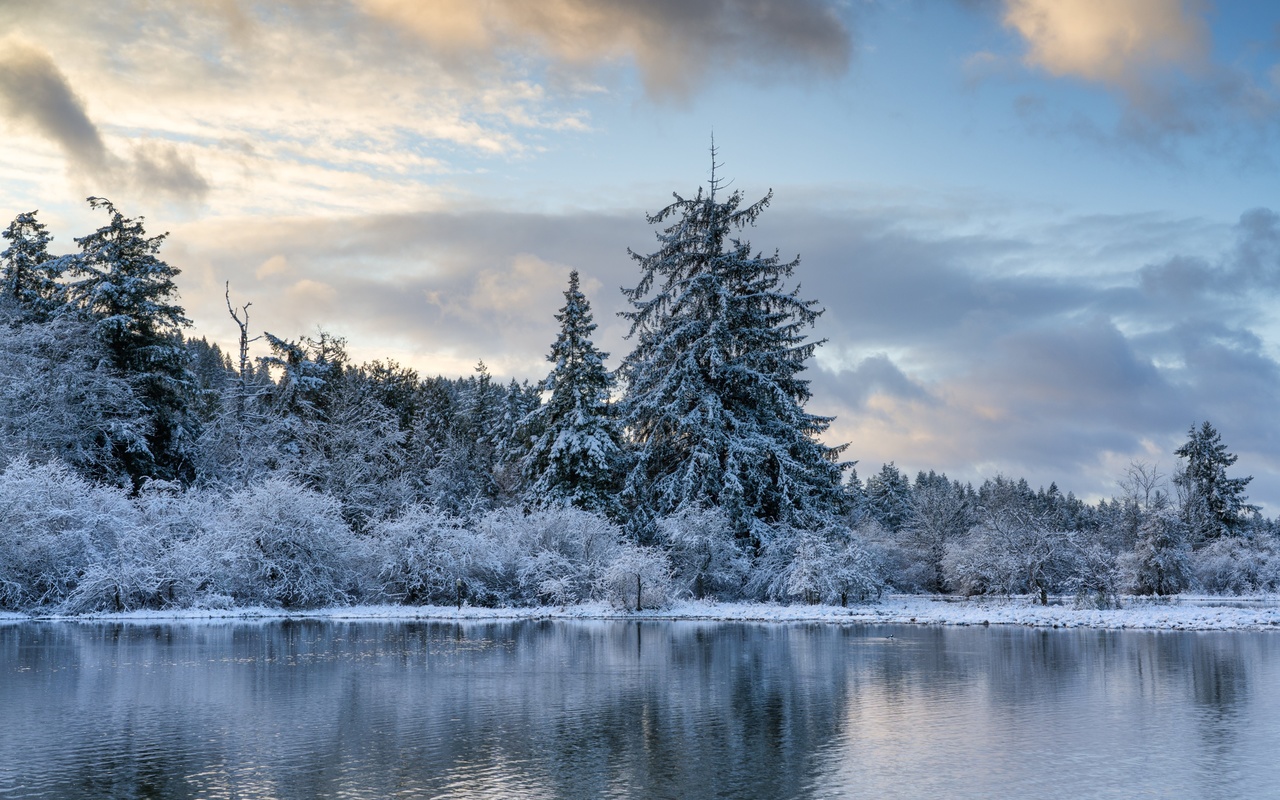 winter morning, washington, mud bay, puget sound