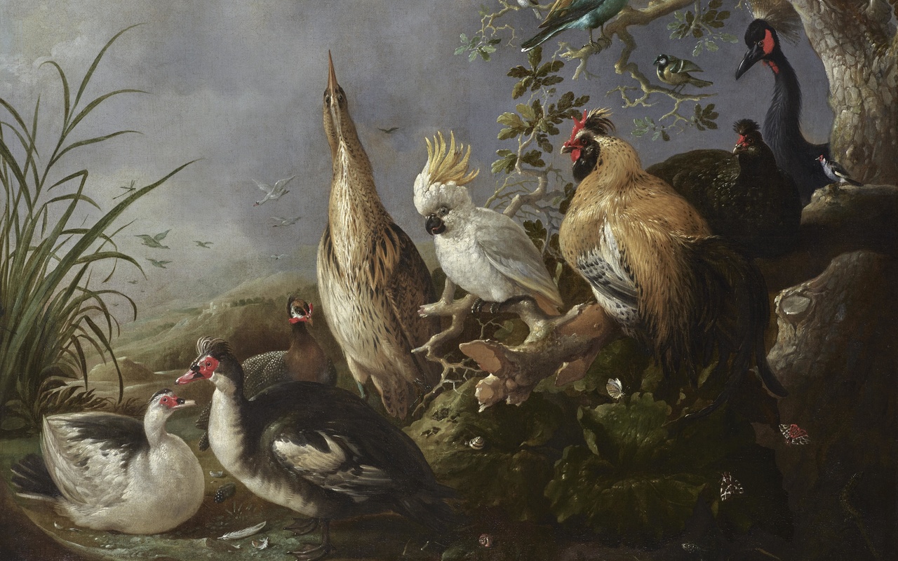 melchior dhondecoeter, dutch art, a menagerie of exotic birds in a landscape