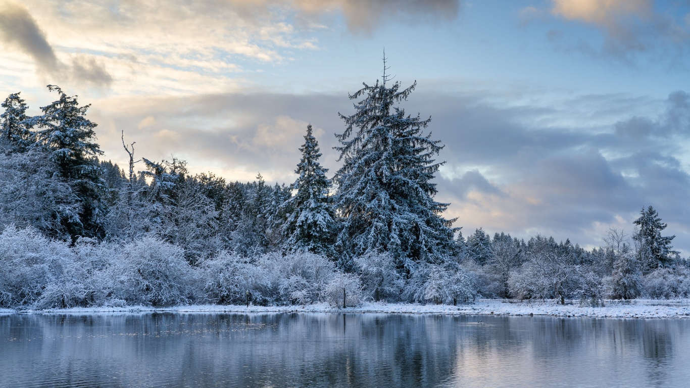 winter morning, washington, mud bay, puget sound