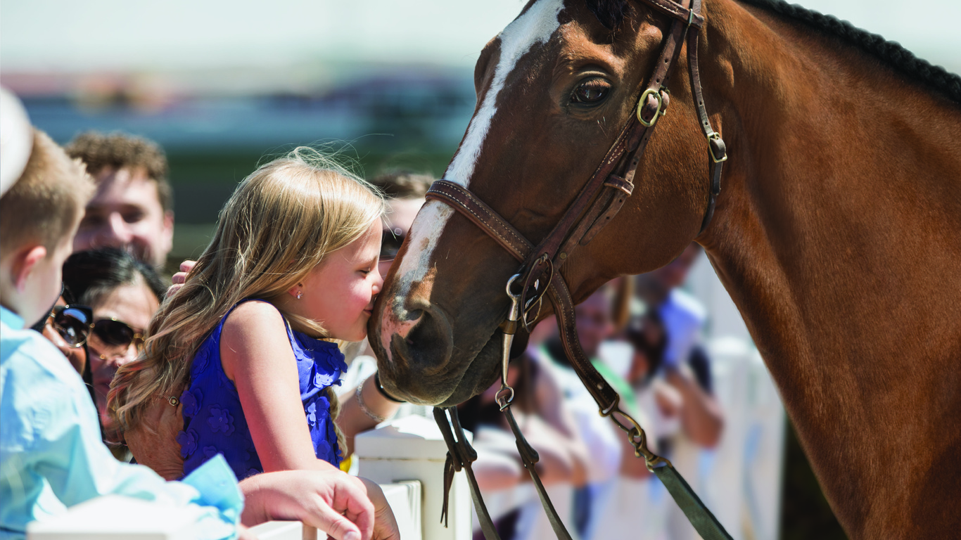 racehorse, little girl, kids who love horses