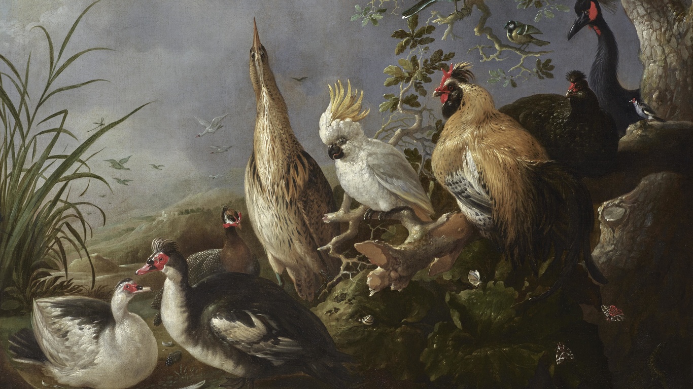 melchior dhondecoeter, dutch art, a menagerie of exotic birds in a landscape