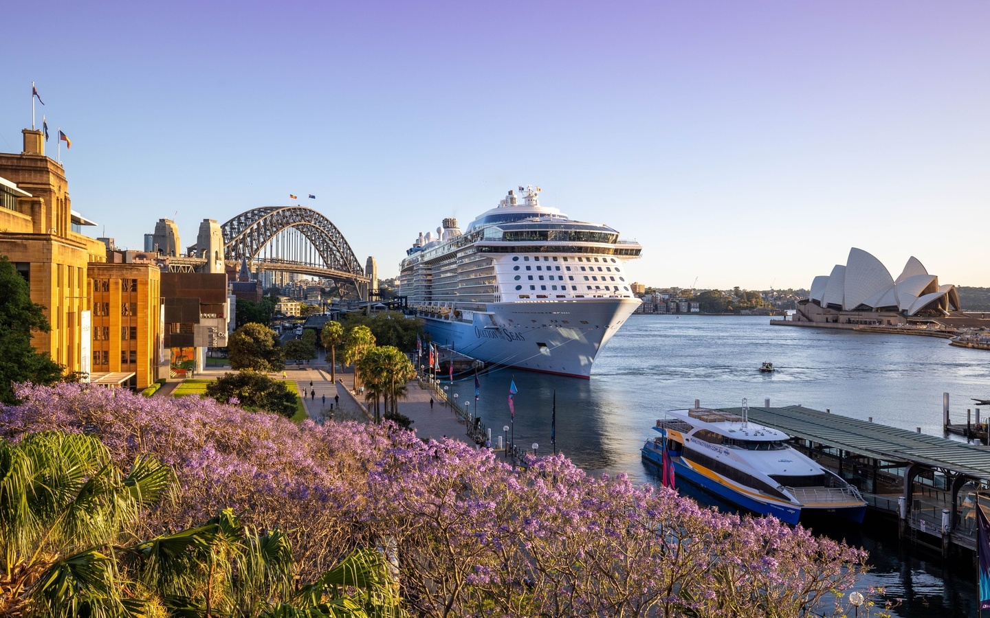 opera house, harbour bridge, sydney, australia