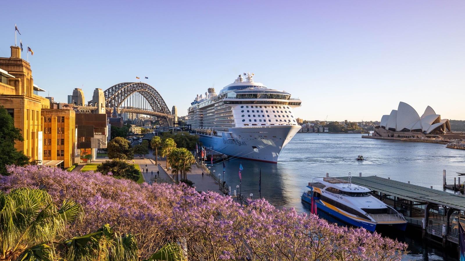 opera house, harbour bridge, sydney, australia