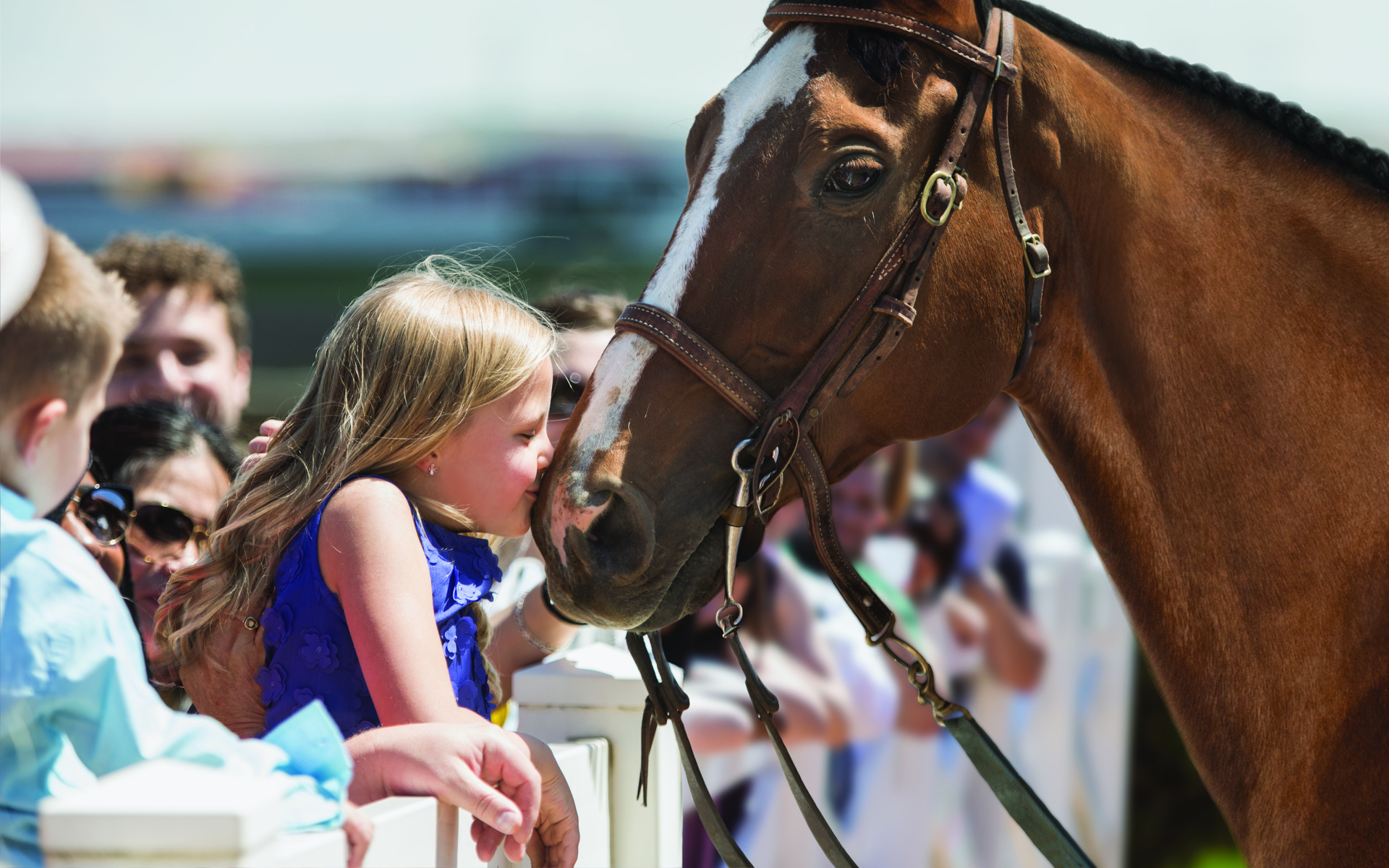 racehorse, little girl, kids who love horses