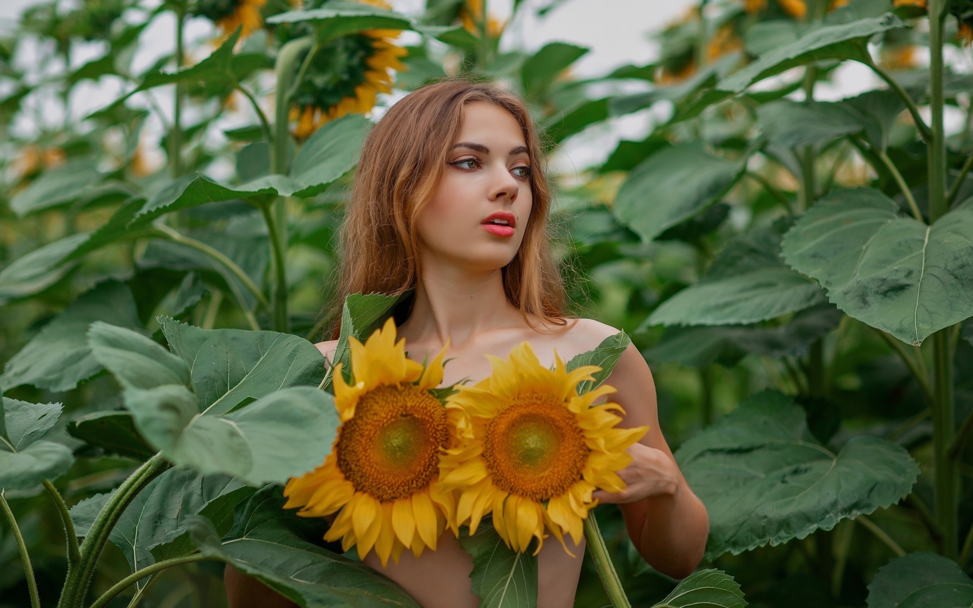 , oxana gromova, model, outdoors, brunette, sunflowers, no bra, plants, red lipstick, nature