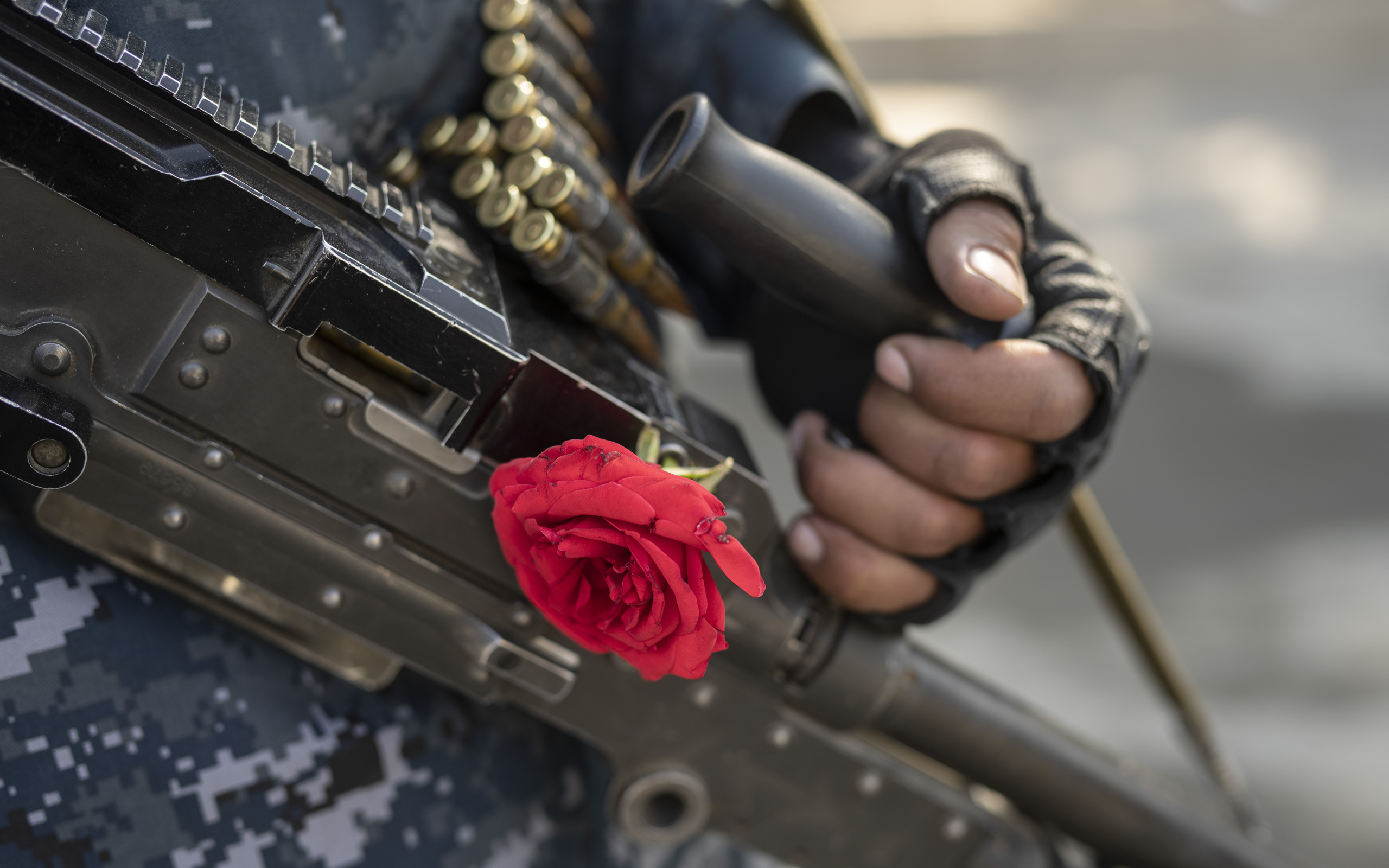 rose, machine gun, secure