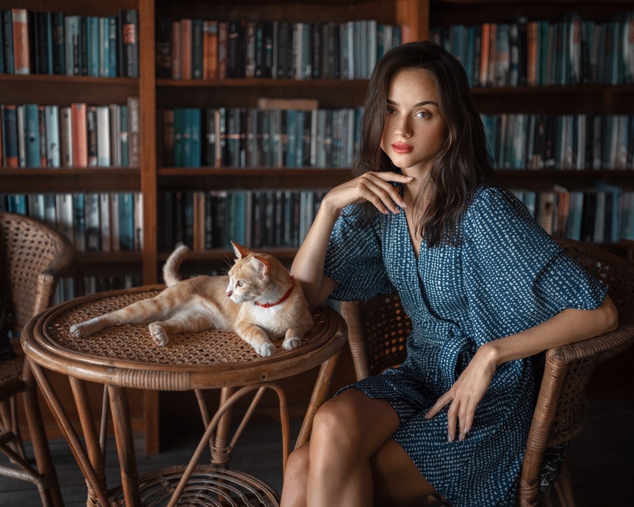 brunette, bookstore, , model, blue dress, women indoors, books, cat, red lipstick, beautiful