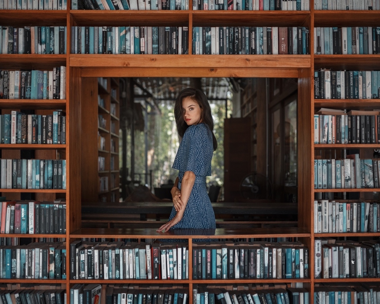 brunette, bookstore, , model, blue dress, women indoors, books, red lipstick, beautiful