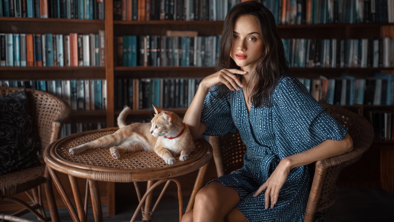 brunette, bookstore, , model, blue dress, women indoors, books, cat, red lipstick, beautiful