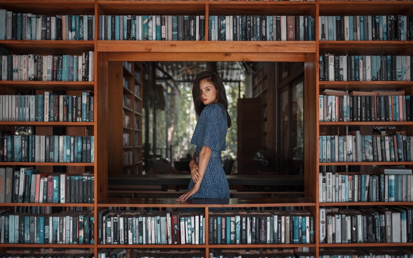 brunette, bookstore, , model, blue dress, women indoors, books, red lipstick, beautiful