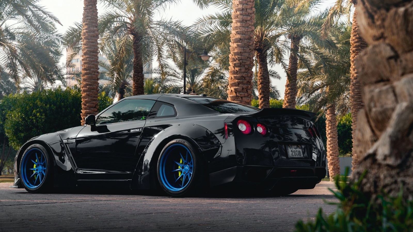 black, nissan, gtr, road, palm trees, blue rims