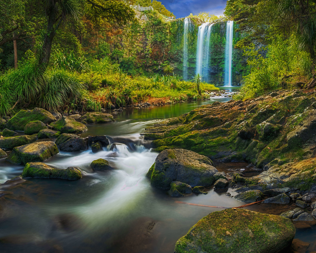 natureza, lago, paisagem, floresta