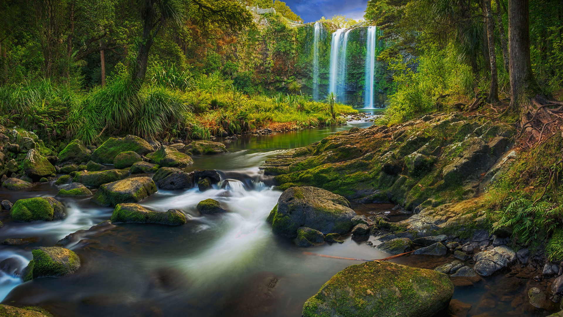 natureza, lago, paisagem, floresta