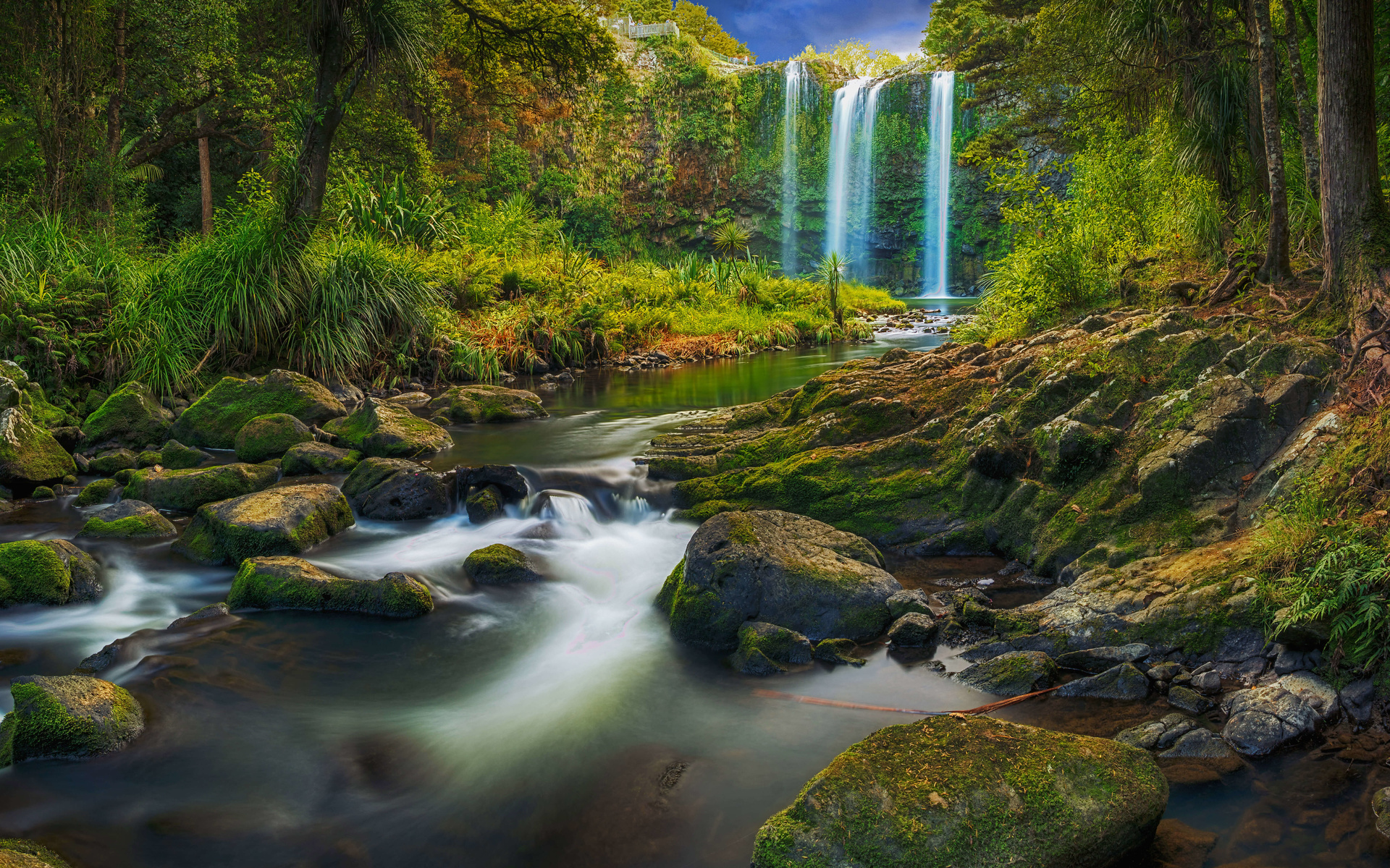 natureza, lago, paisagem, floresta