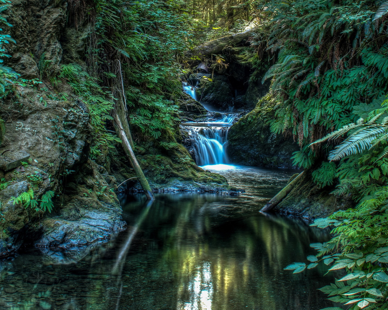 natureza, lago, paisagem, floresta, cachoeira