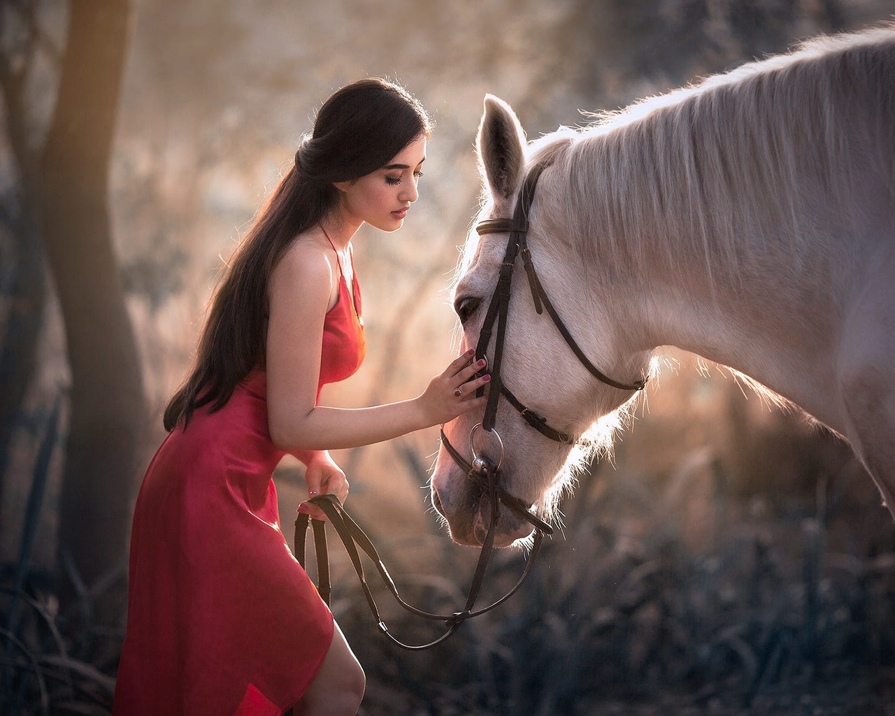 natalia arantseva, horse, outdoors, brunette, red dress, model, beauty, white