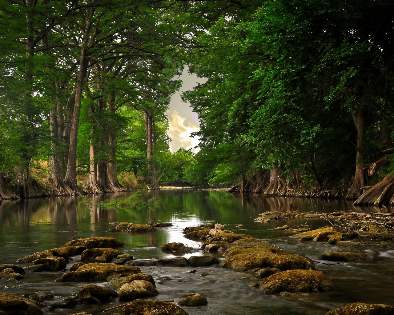 lago, floresta, paisagem, natureza